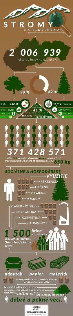 Infografika: Stromy na Slovensku